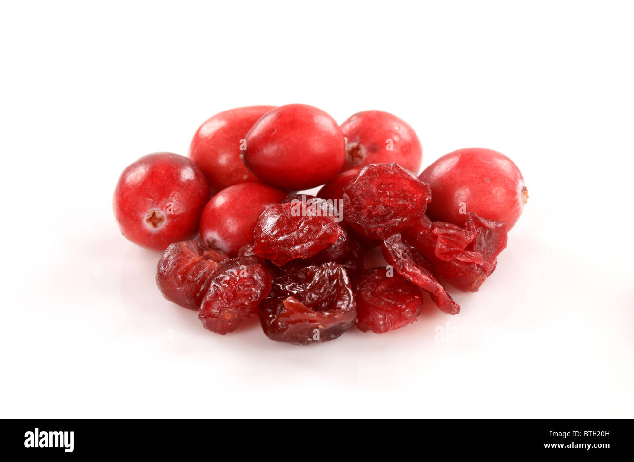 Gruppe von frischen und getrockneten cranberries Stockfoto