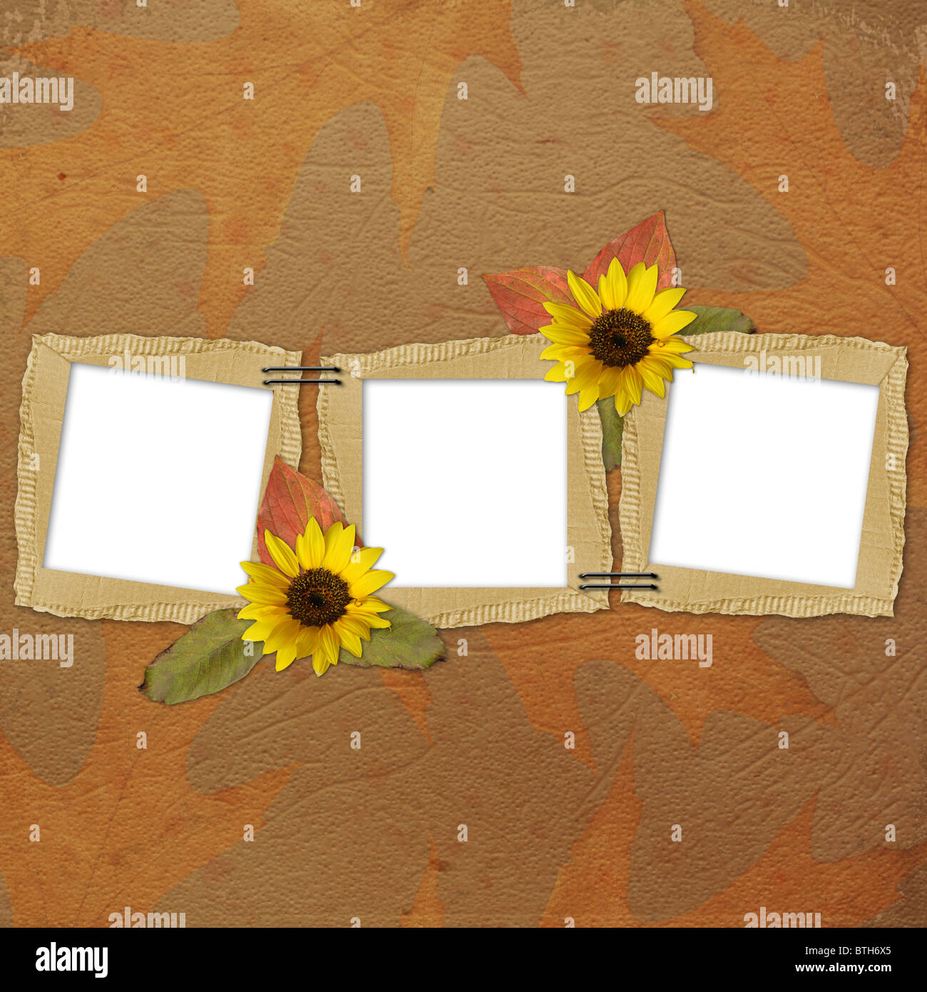 Herbst Hintergrund Stockfoto