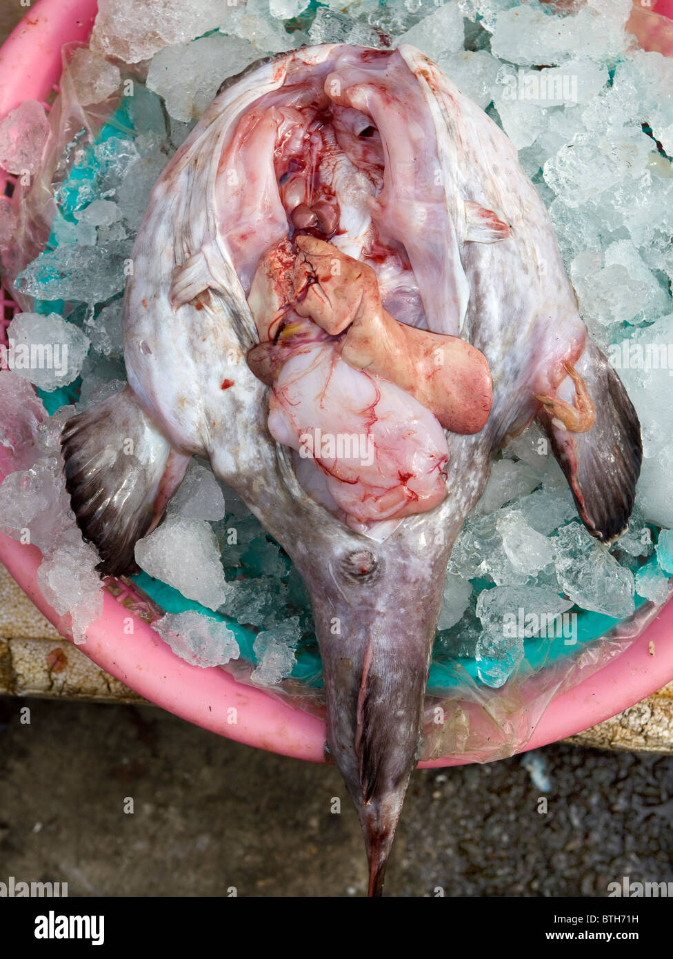 Seeteufel mit Leber im Jagalchi Seafood oder Fish Market Busan Südkorea erhältlich Stockfoto