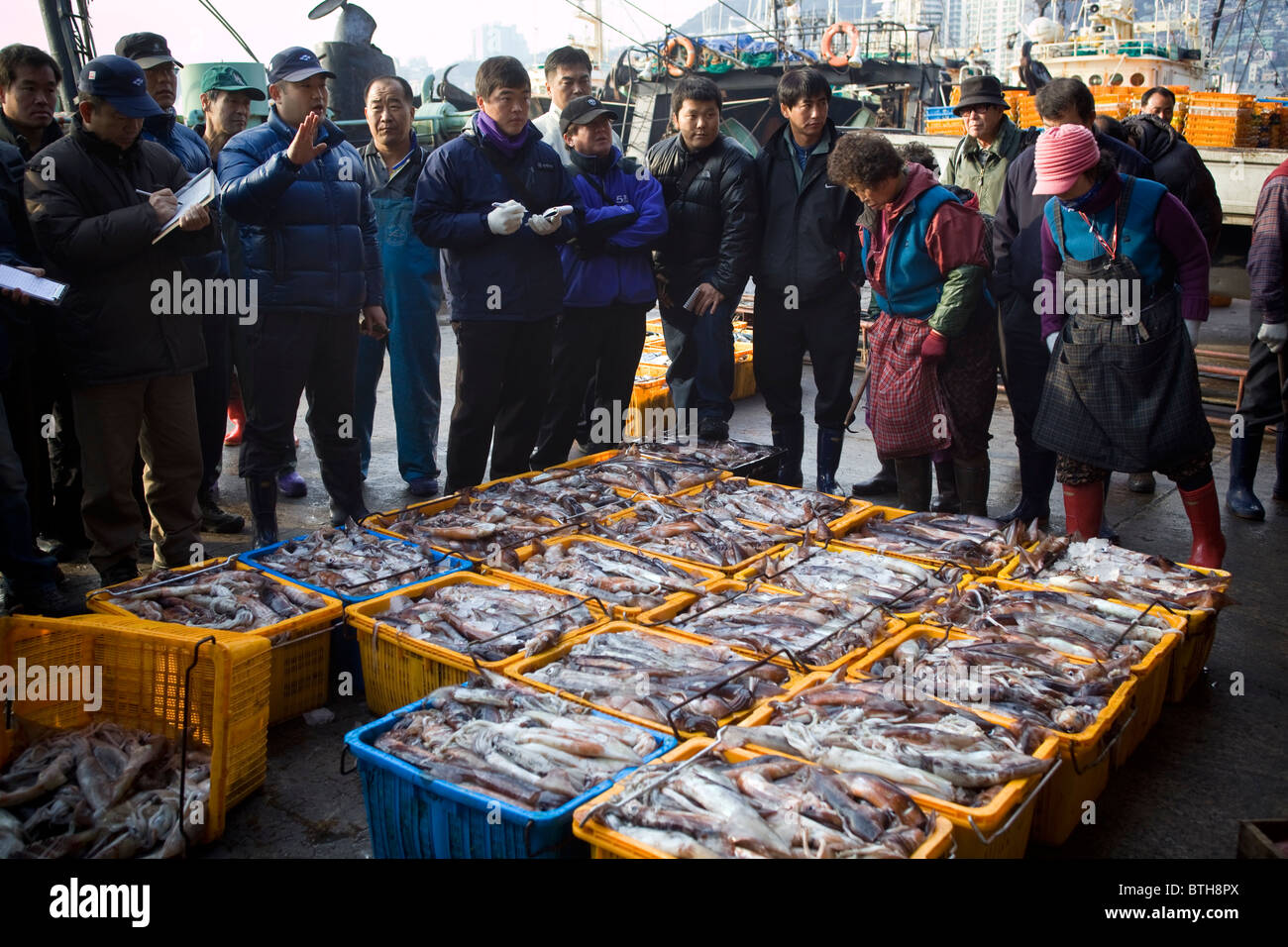 Fischauktion am Jagalchi Fisch Markt Busan in Südkorea Stockfoto
