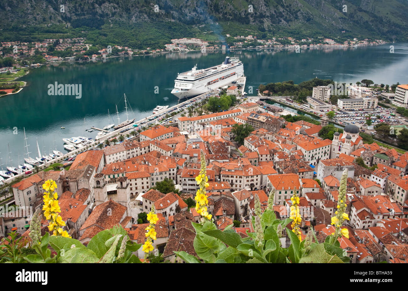 Ein Blick von oben auf den Fjord mit Blick auf Kotor Stockfoto
