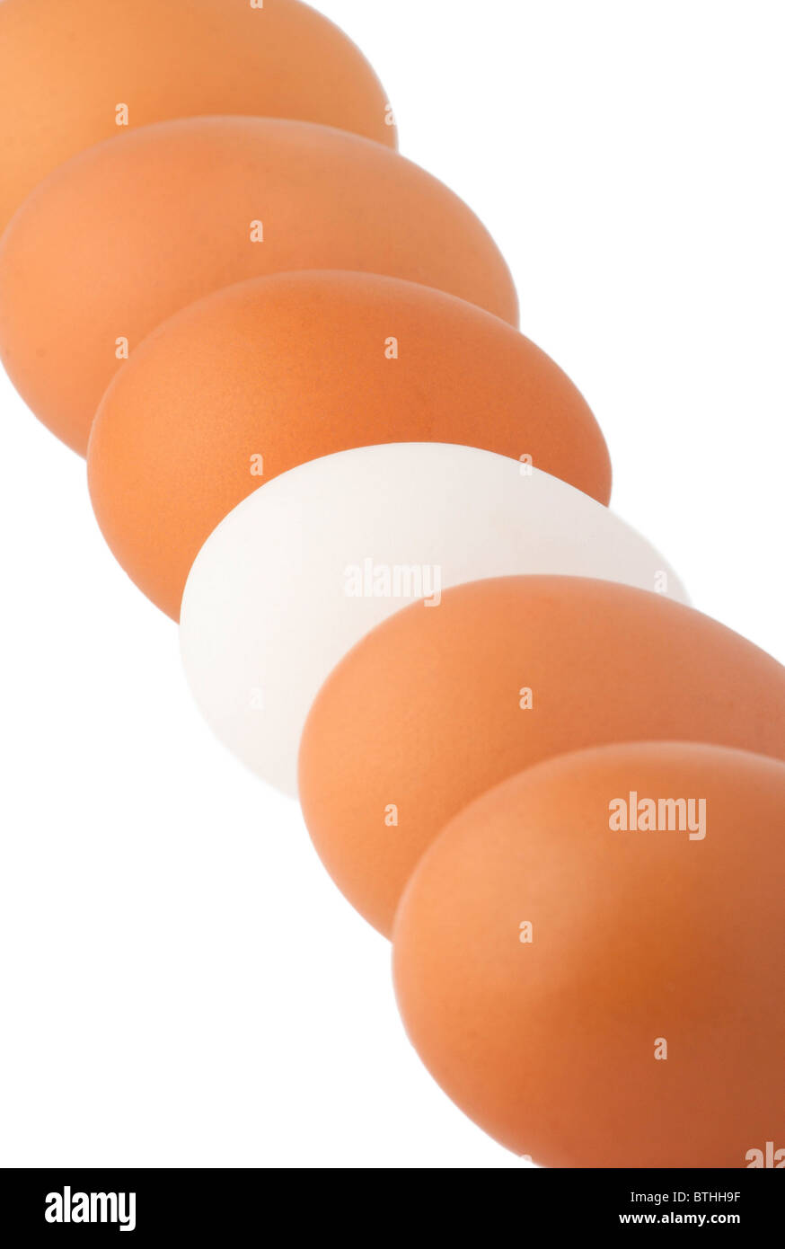 Weißes Ei unter den braunen Eiern isoliert auf weiss Stockfoto