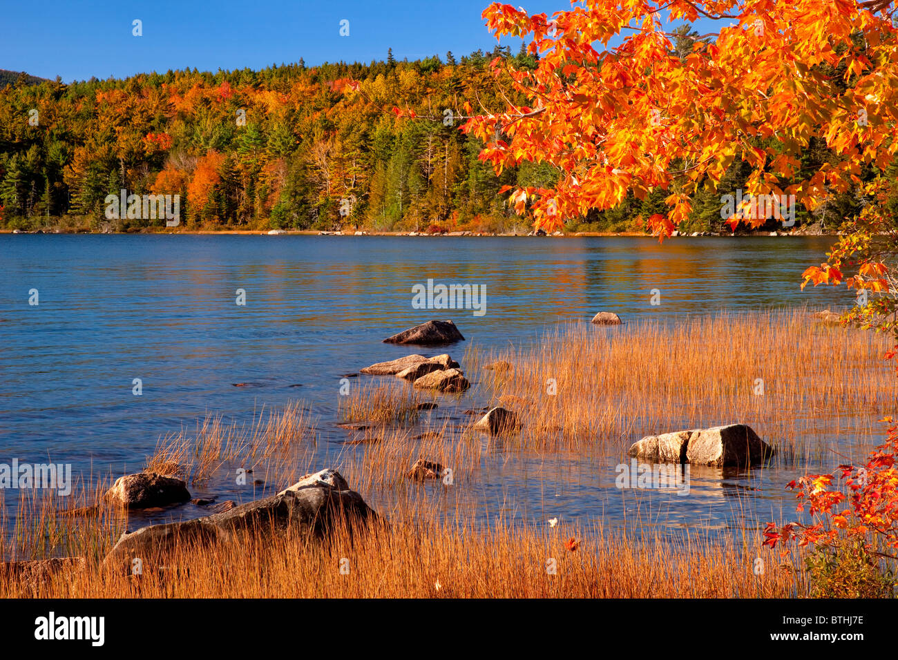 Farben des Herbstes über Eagle Teich im Acadia National Park, Maine, USA Stockfoto