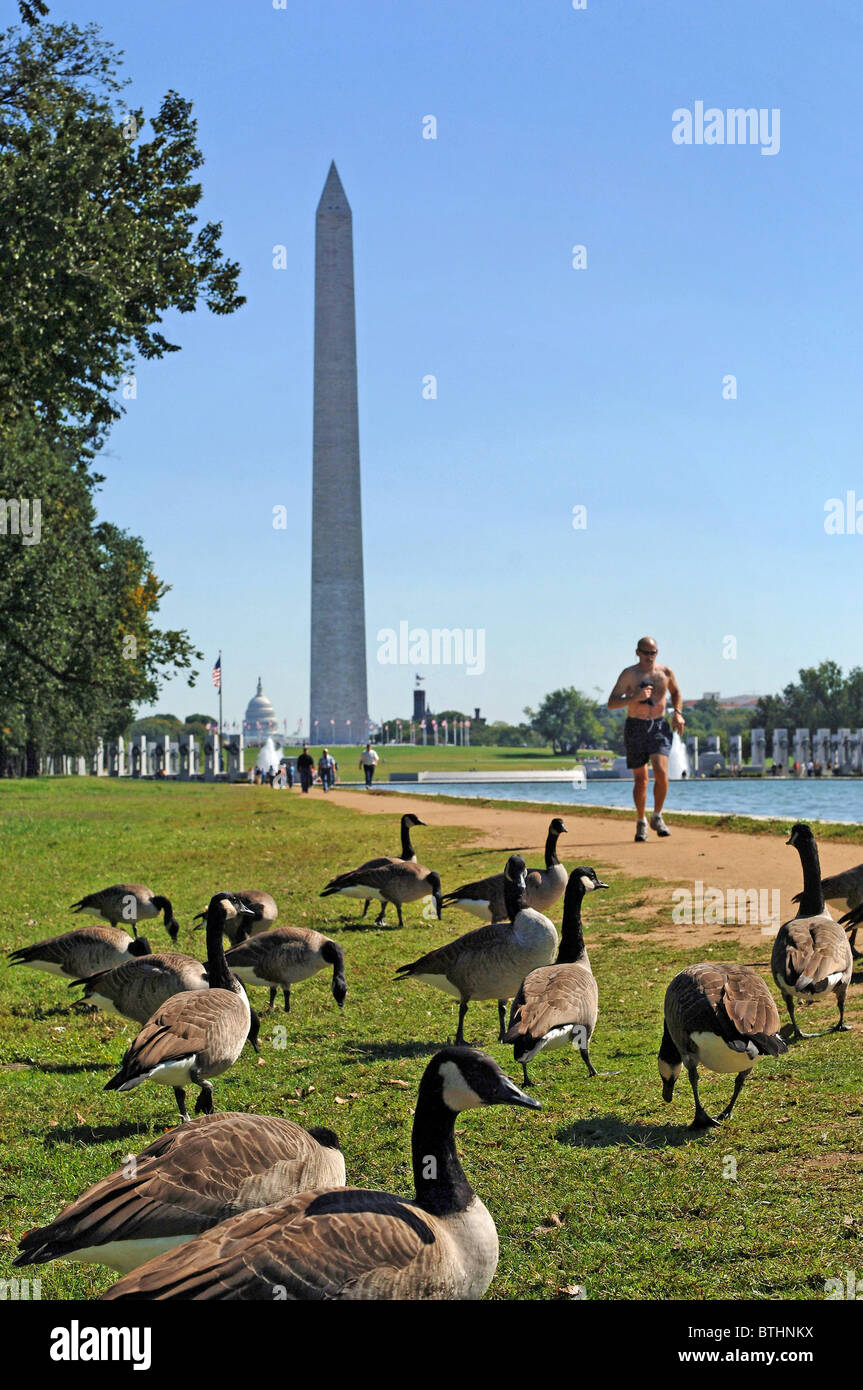 Reflecting Pool an der National Mall mit dem Washington Monument, Washington D.C., USA Stockfoto
