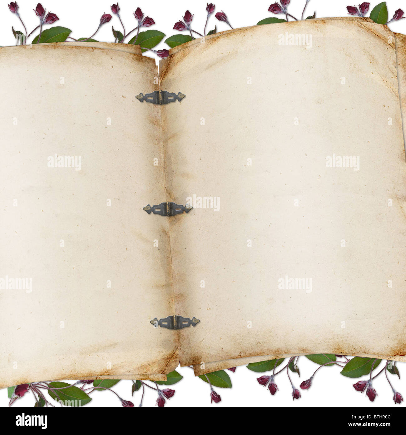 Vintage Albumseite Stockfoto