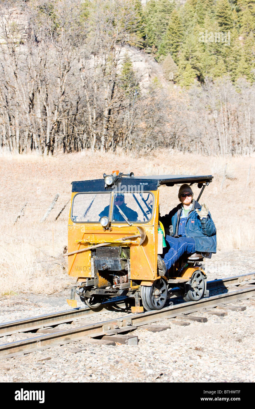 Bahn fahren, Durango Silverton Narrow Gauge Railroad, Colorado, USA Stockfoto