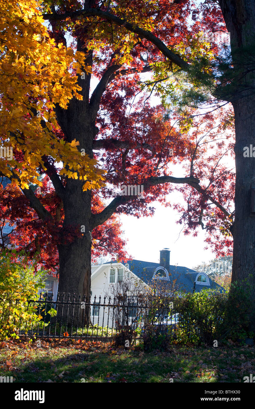 Farben des Herbstes tummeln sich auf den Klippen oberhalb des Mississippi River zu Burlington, IA. Stockfoto