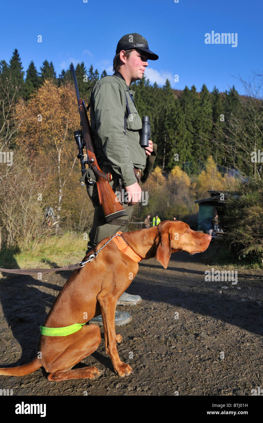 Jäger mit Flinte und Vizsla Jagdhund in den Ardennen, Belgien Stockfoto