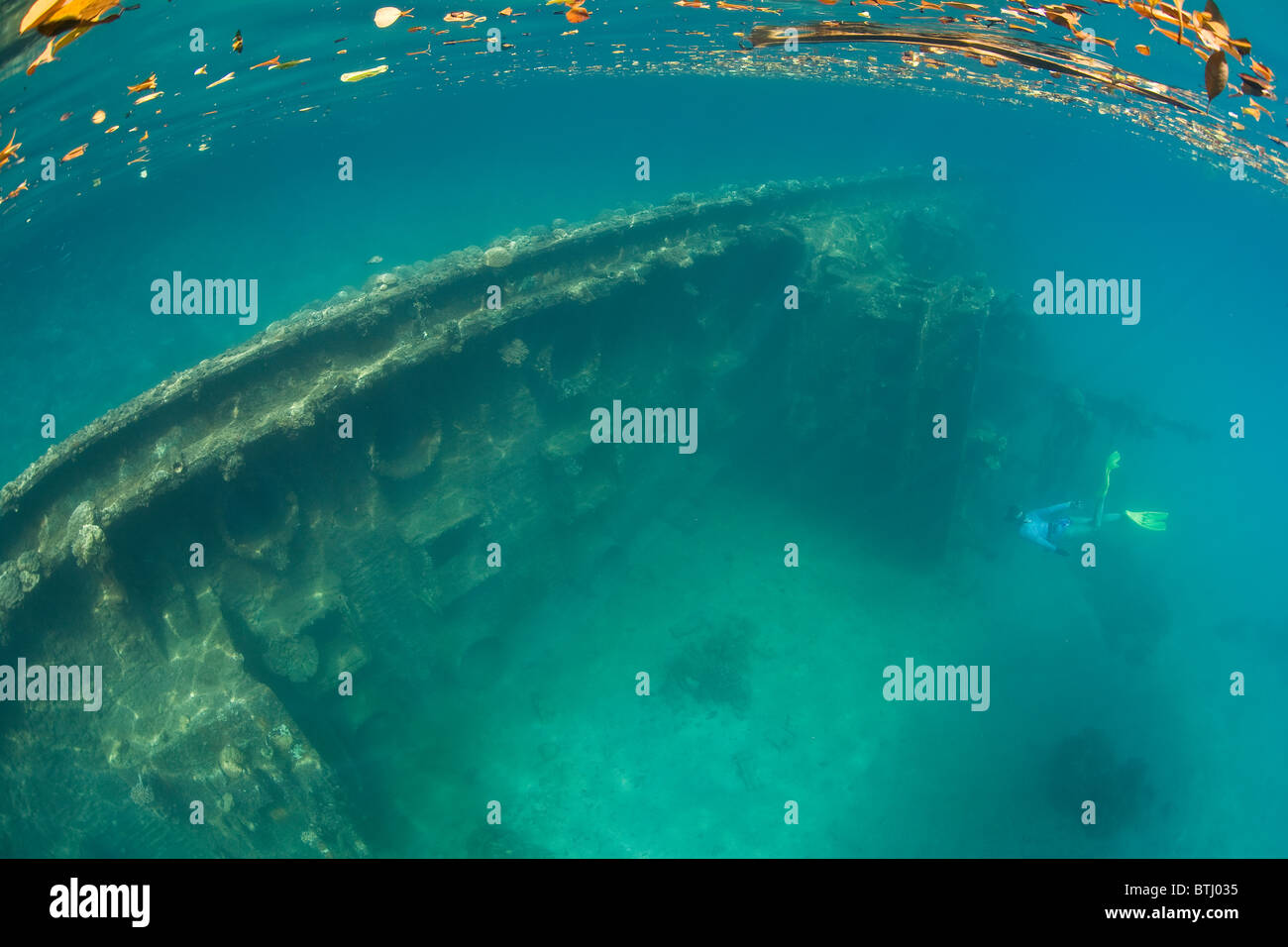 Ein Freediver erforscht ein Schiffswrack in den Untiefen des Palaus geschützte Lagune versenkt. Palau, Mikronesien, Pazifik. Stockfoto