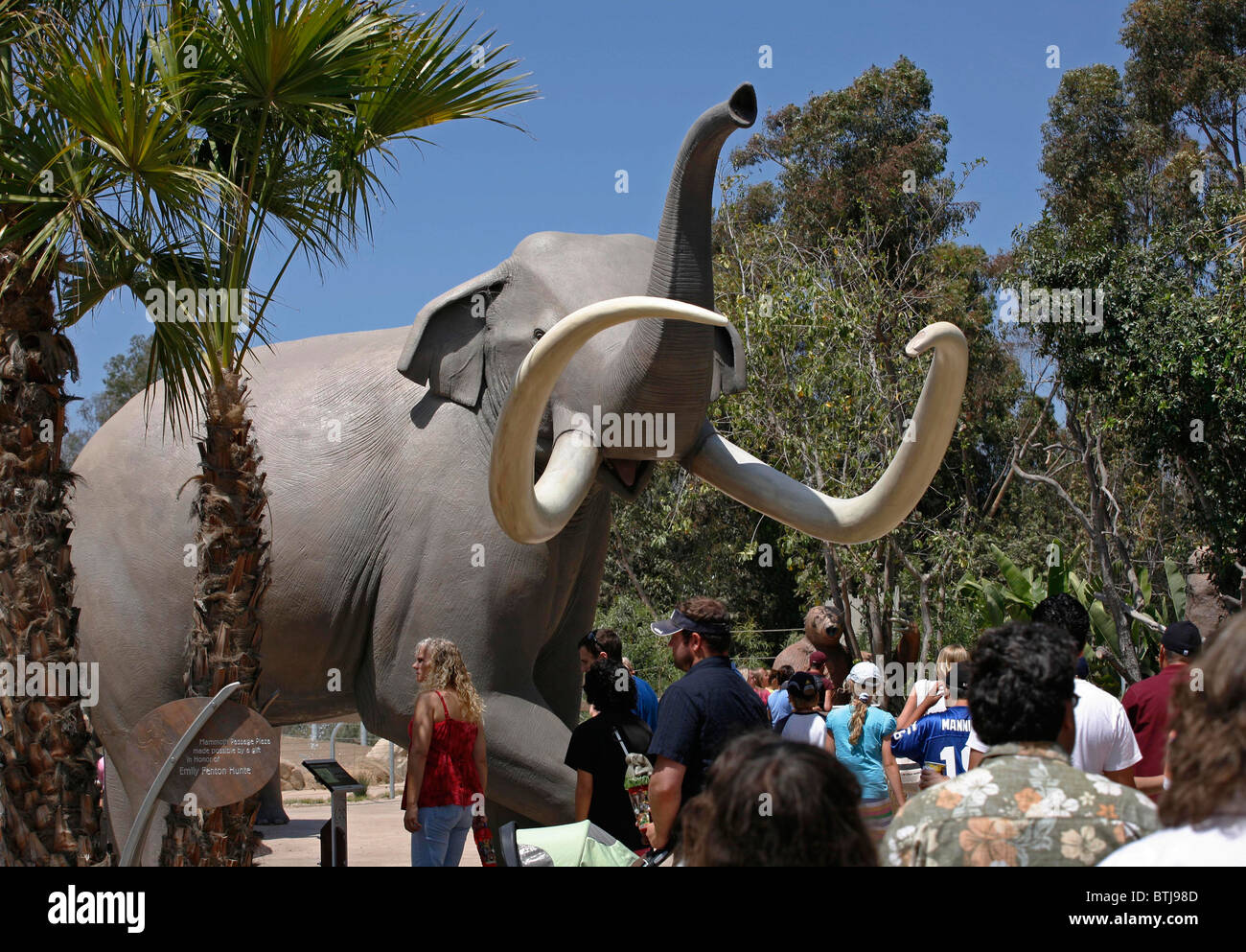 Touristen besuchen die Ausstellung von Elefanten im ZOO von SAN DIEGO - CALIFORNIA Stockfoto