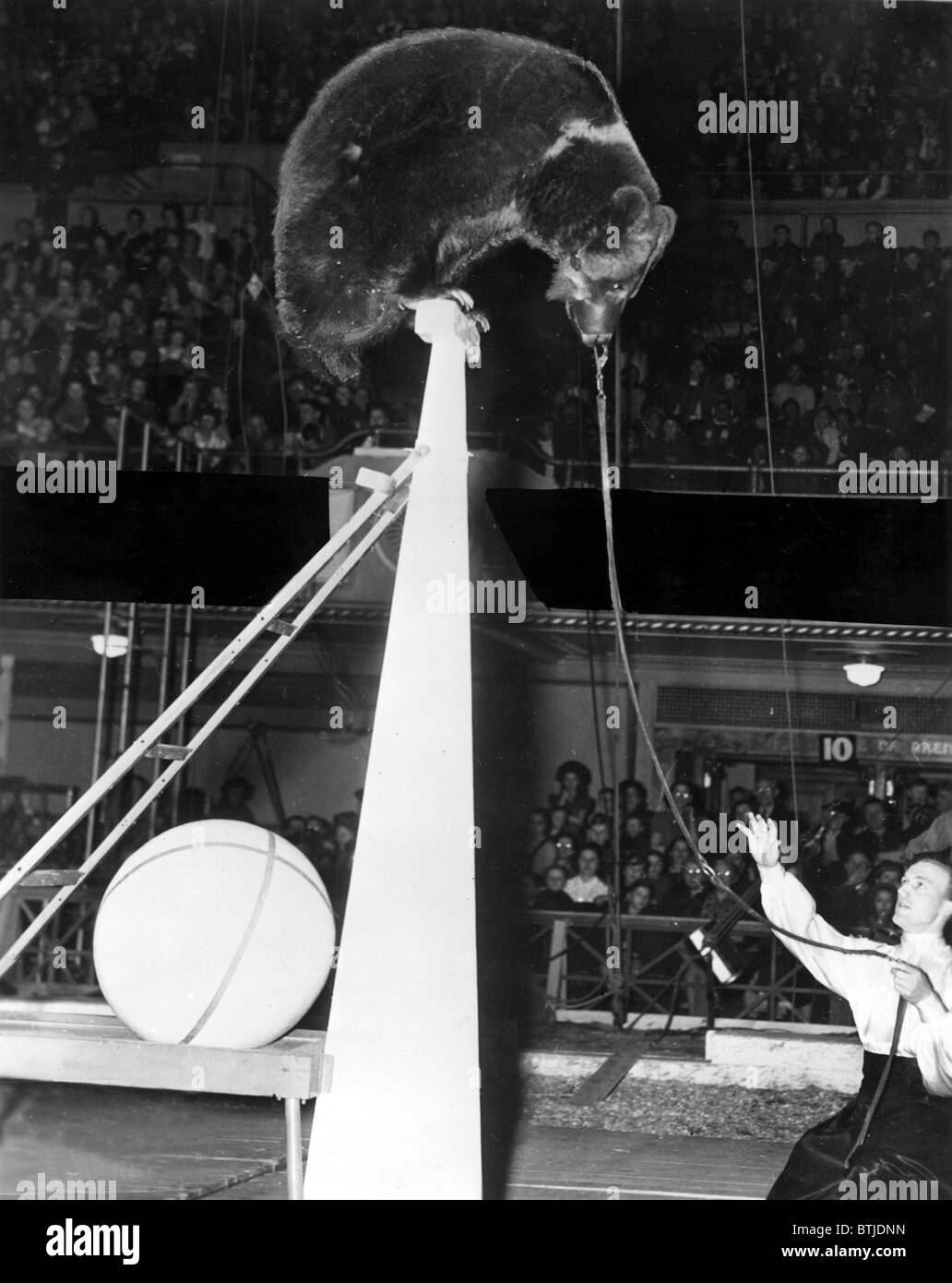Emil Pallenburg im Grotto Zirkus im Jahre 1942. Stockfoto