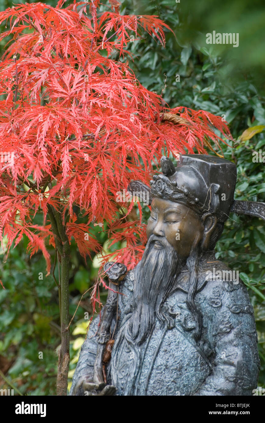 Acer Palmatum mit orientalische Bronzefigur Statue rot acer Stockfoto