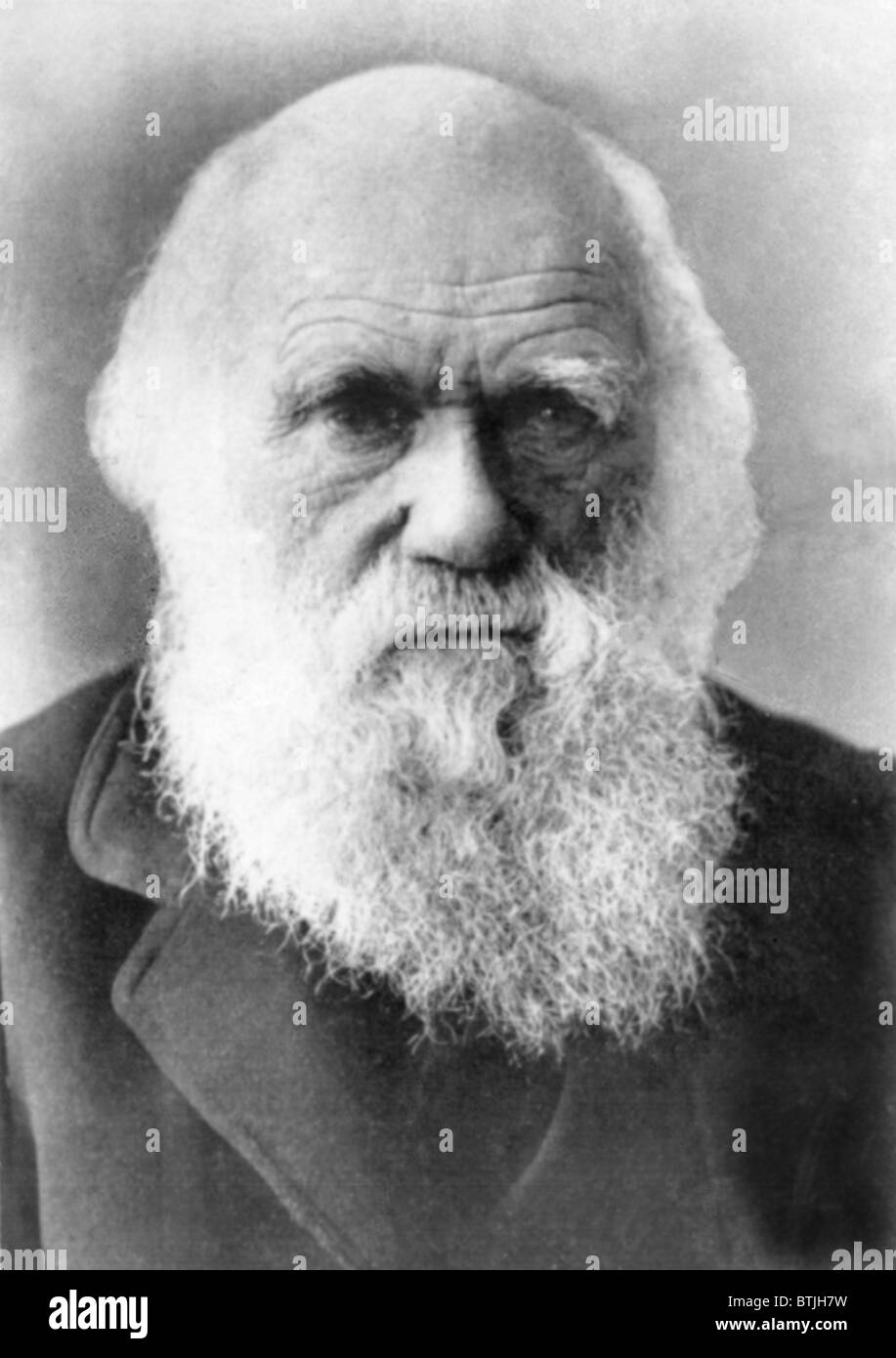 Charles Darwin (1809-1882), ca. 1870er Jahren der 1980er Jahre. Höflichkeit: CSU Archive/Everett Collection. Stockfoto