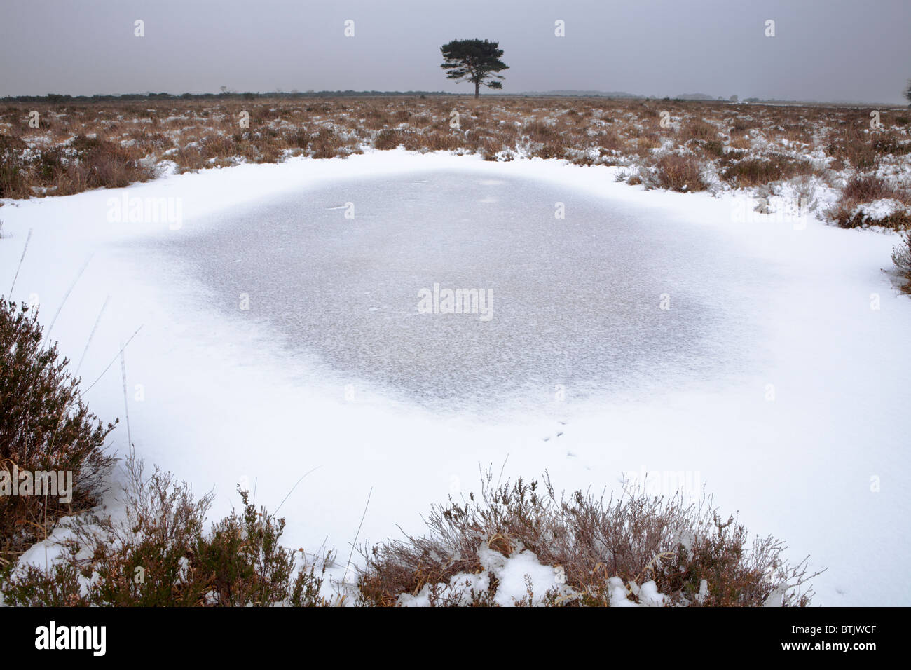Gefrorener teich im wald im winter Fotos und Bildmaterial in hoher
