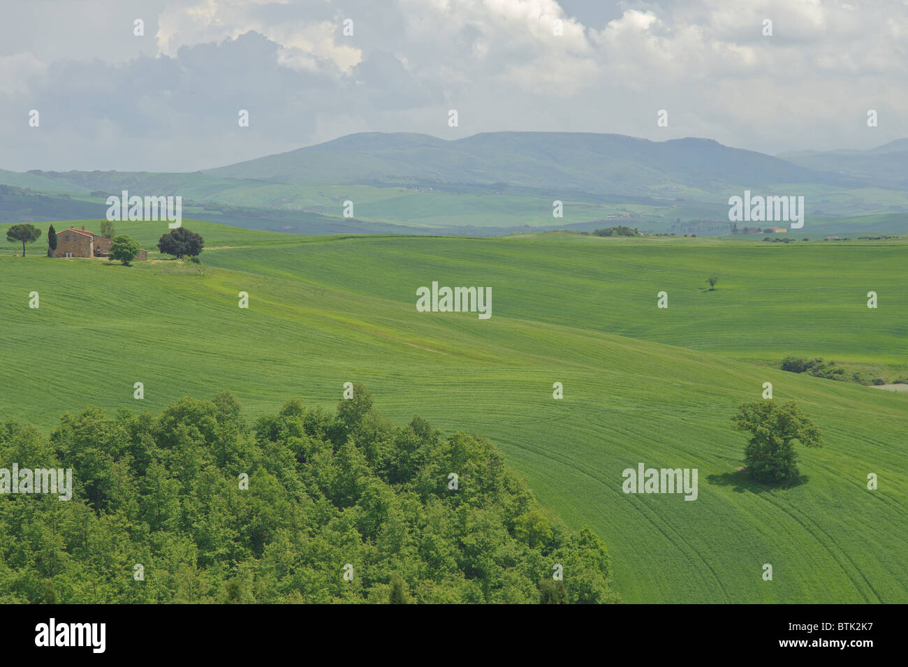 Italien Toskana Landschaft Toskana Ackerland Hügellandschaft Korn Feld italienischen Hof Stockfoto