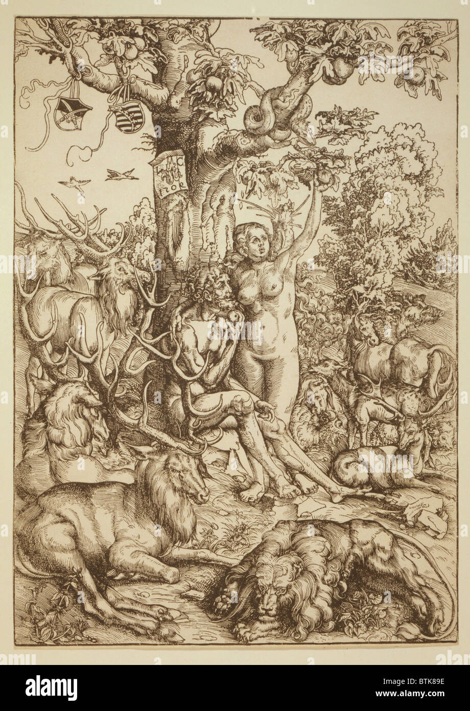 Adam und Eva unter einem Apfelbaum, umgeben von Tieren.  Renaissance Holzschnitt von deutschen Maler, Luca Cranach, 1509. Stockfoto