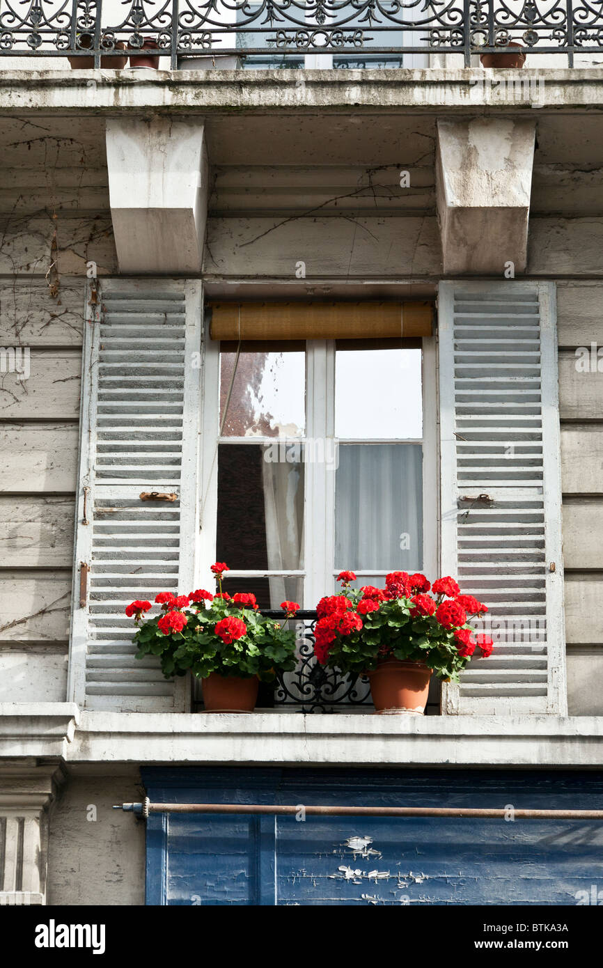 ansprechende alte weiße Holz Casement-Fenster mit offenen weißen Fensterläden & Topf mit leuchtend roten Geranien auf der Fensterbank Rue de Poissy Paris Stockfoto