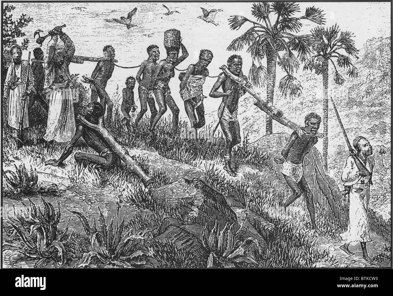 Afrikanischen Gefangenen wurden zusammen mit Protokollen paarte und ging aus dem Inneren an die Küste zum Verkauf an Europäer und später nahöstlichen Slaver Händler für den Transport. Wer zu schwach zu gehen waren oft getötet. 19. Jahrhundert-Gravur. Stockfoto