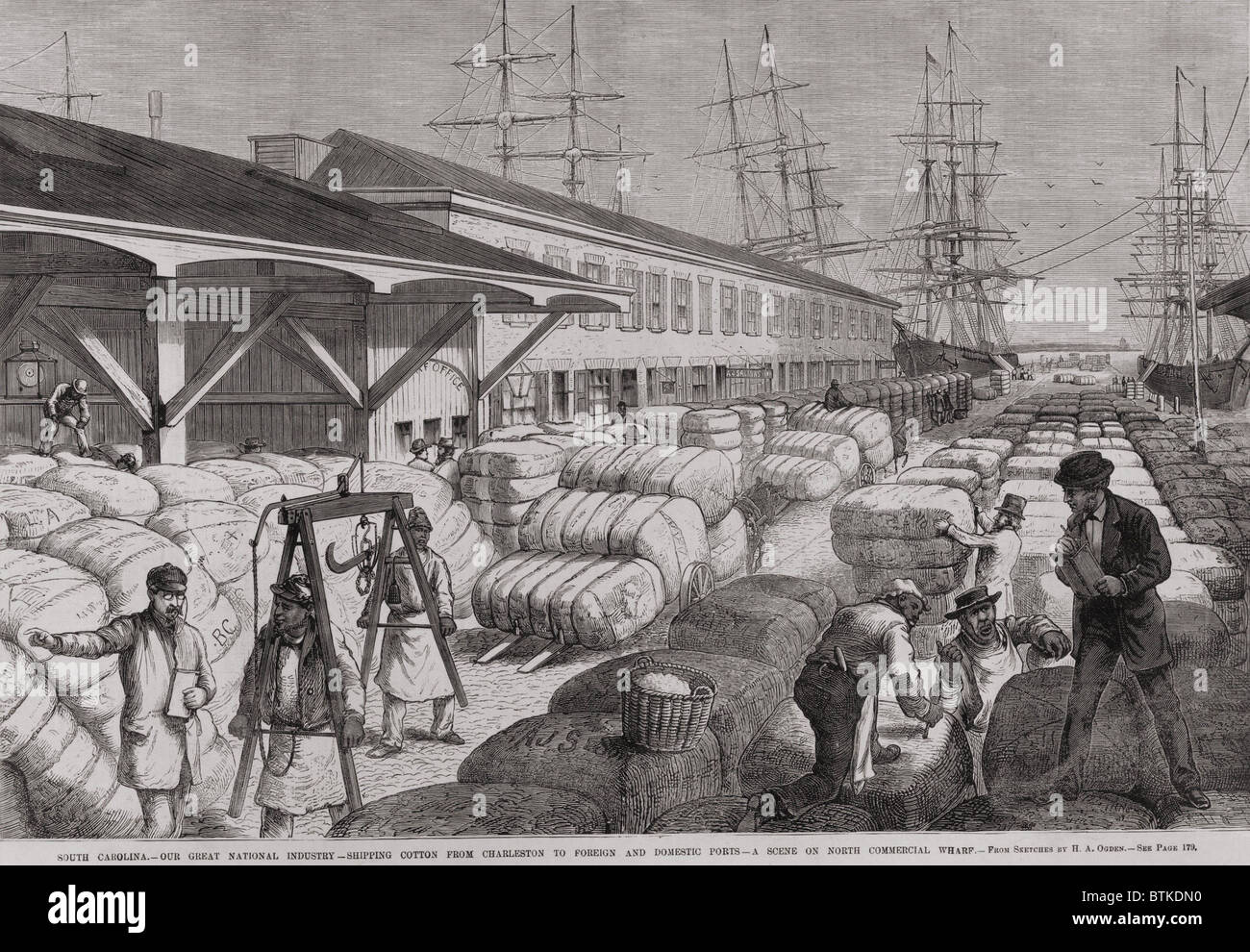 Kommerzielle North Wharf von Charleston, S.C. mit Ballen Baumwolle für den Versand in in- und ausländischen Häfen über Segelschiffe. 1878. Stockfoto