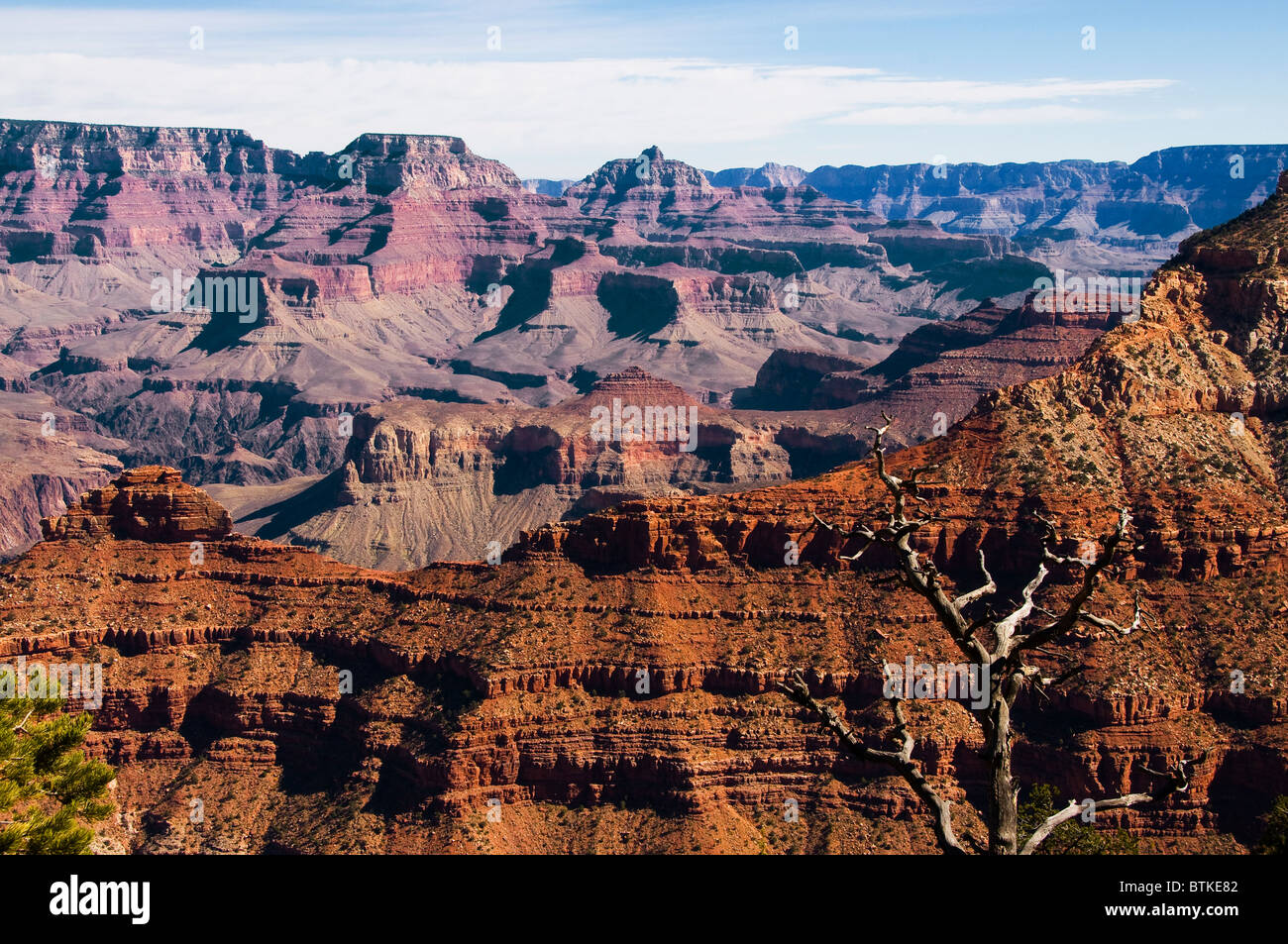 Grand Canyon National Park, Arizona Stockfoto