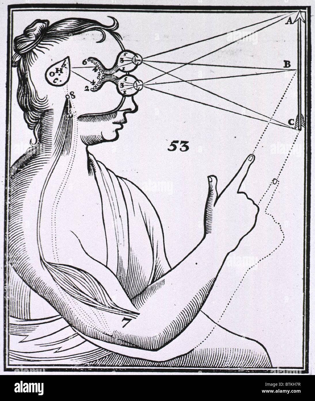 Eine Darstellung, die eine Theorie des Sehens von Rene Descartes DE HOMINE (Abhandlung über Mann) 1677. Ein menschliches Profil, mit den Augen Stockfoto