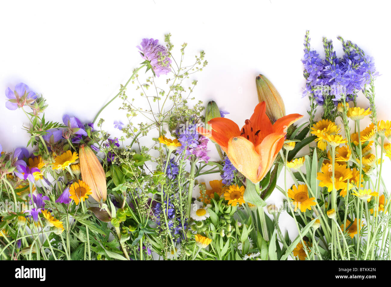 Wilde Blumen auf einem weißen Tisch Stockfoto