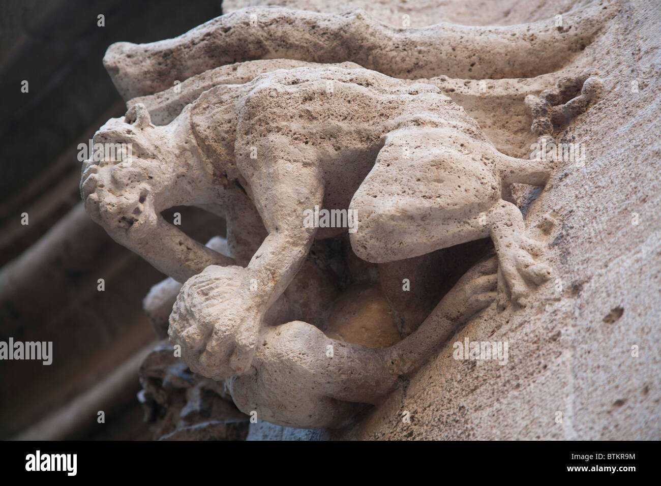 Ein Wasserspeier an der Llotja De La Seda Seide Exchange Valencia, Spanien Stockfoto