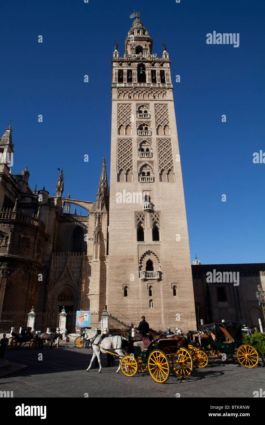 Die Giralda, Turm der Kathedrale von Sevilla Stockfoto