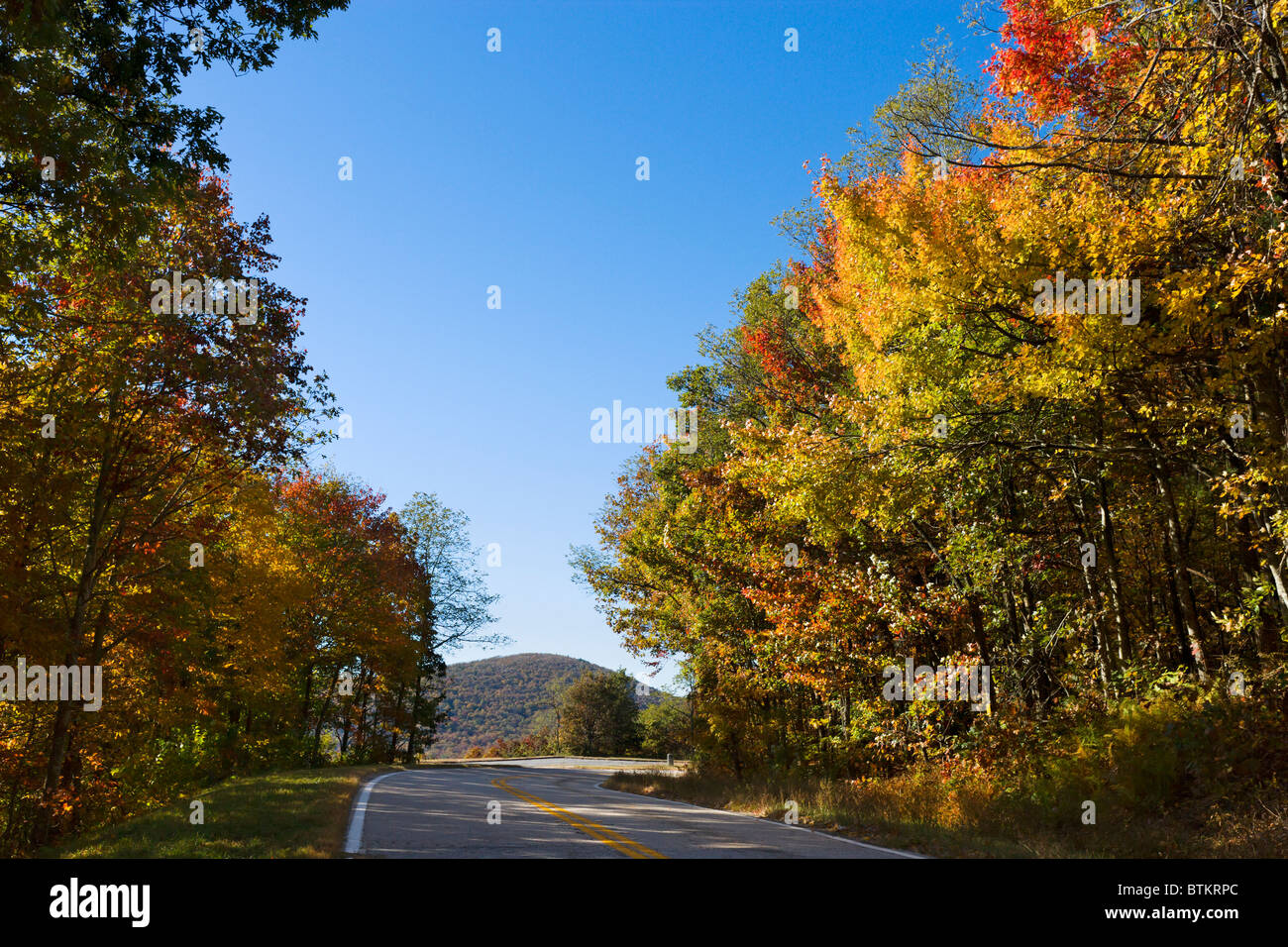 Richard Russell Scenic Highway (348) in den Herbst, Chattahoochee National Forest, North Georgia, USA Stockfoto