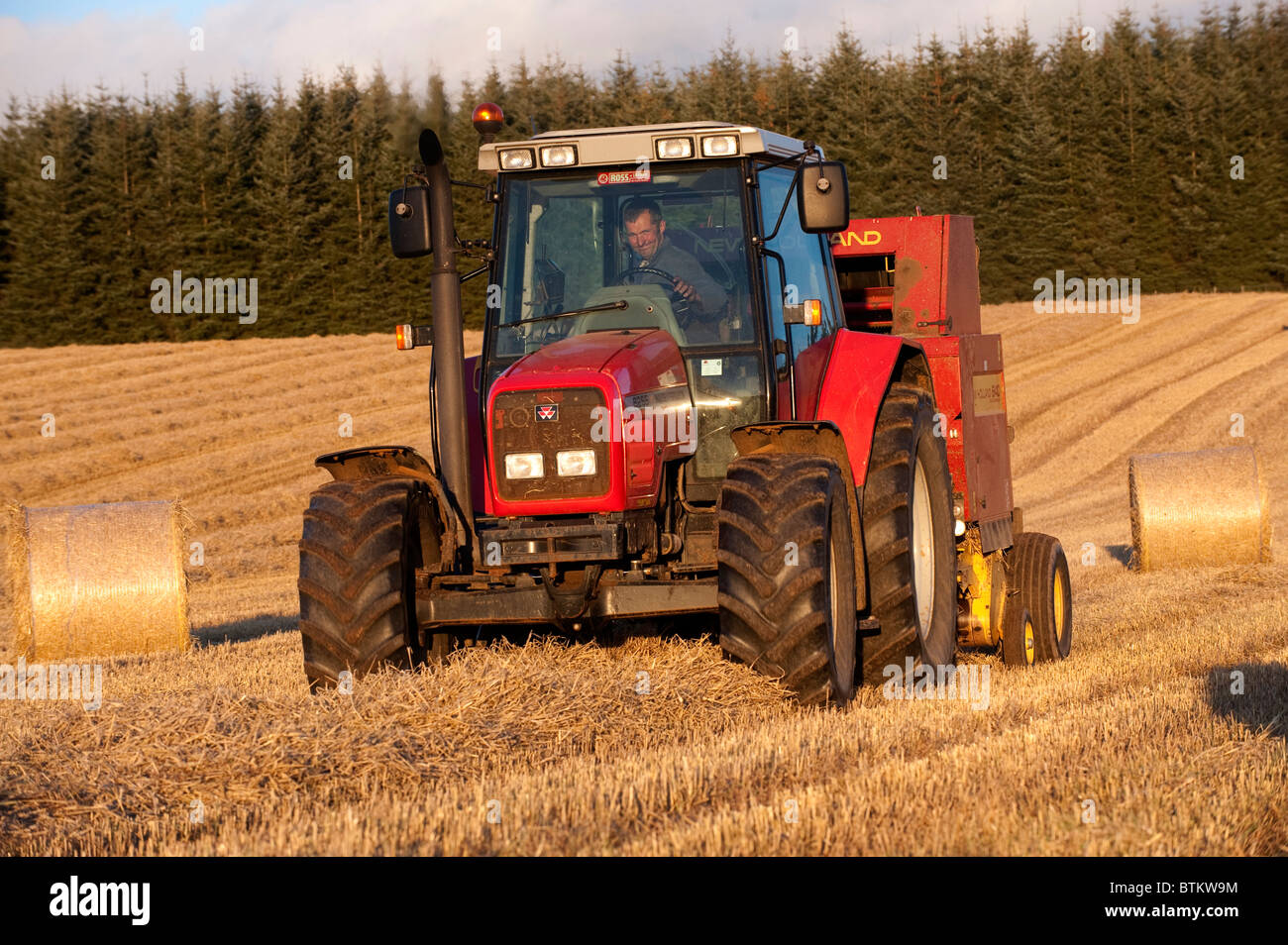 Rundballen aus Stroh mit einem Massey Ferguson Traktor zu machen. Stockfoto