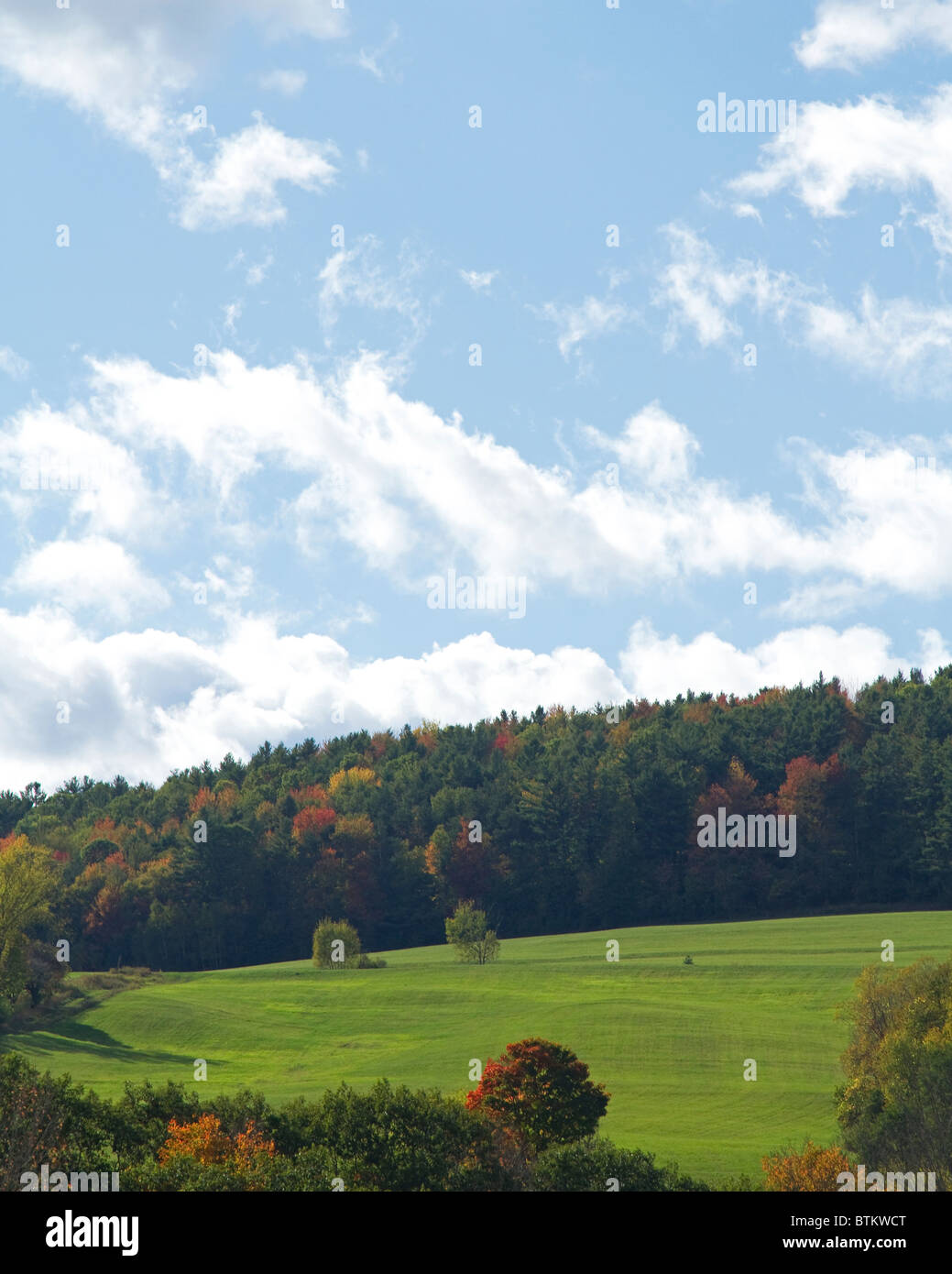 Schöne grüne Wiese einer New-hampshire Landschaft, bietet das Bunte Bäume und Blätter des Herbstes, fallen. Stockfoto