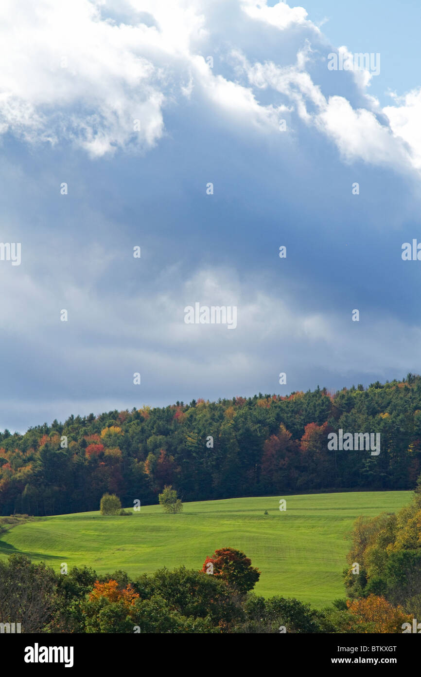 Schöne grüne Wiese einer New-hampshire Landschaft, bietet das Bunte Bäume und Blätter des Herbstes, fallen. Stockfoto