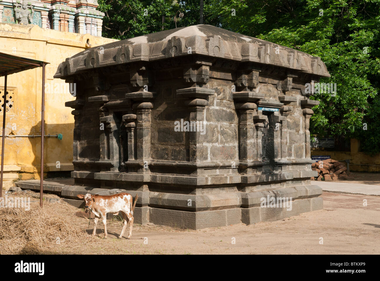 Thiyagaraja Swamy Tempel; Siva; Saivite; bei Thiruvotriyur, Chennai; Madras, Tamil Nadu. Stockfoto