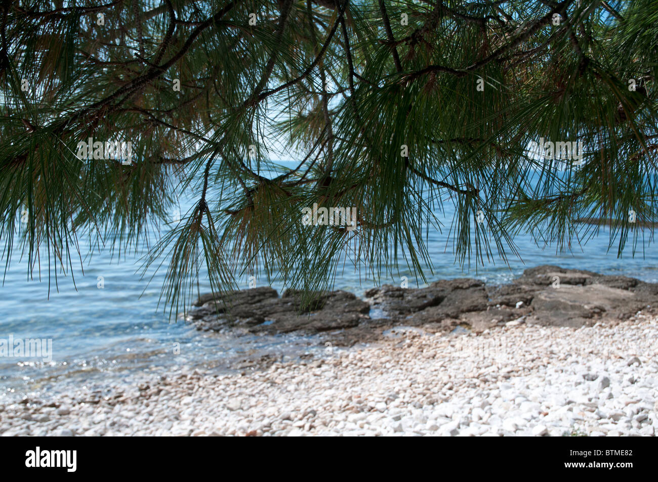 ruhigen entspannenden Blick unter Pinien von der ruhigen ruhigen Stille Wasser des Adriatischen Meeres Stockfoto