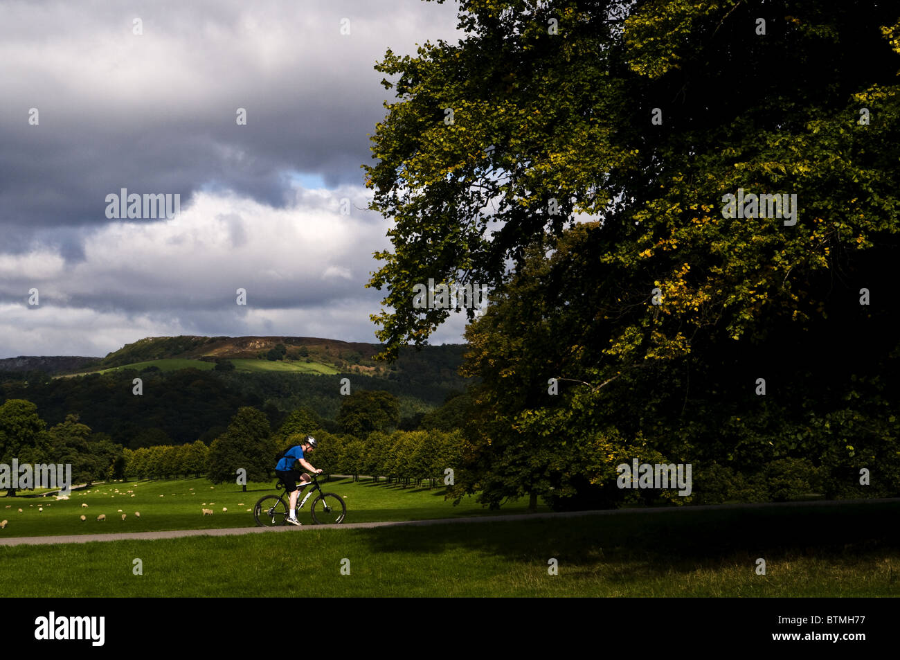einsame Radfahrer Stockfoto