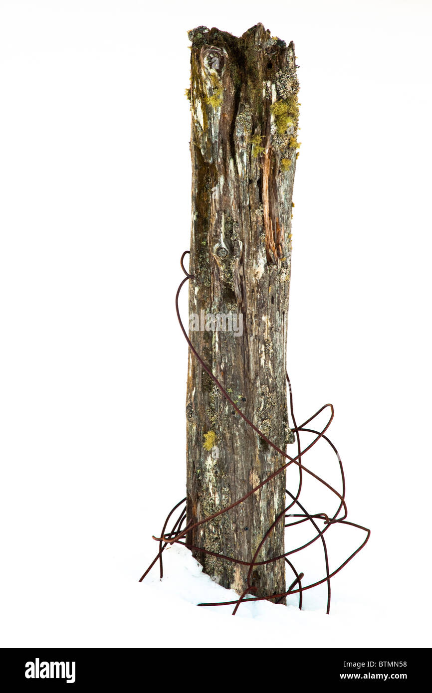 Schottland, Schottisches Hochland, Cairngorm National Park. Draht um einen schneebedeckten Zaunpfosten in der Nähe von Grantown auf Spey. Stockfoto