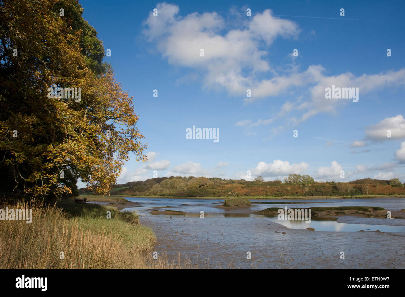 Milford, Cleddau Mündung, Pembrokeshire, Wales, UK, Europa Stockfoto