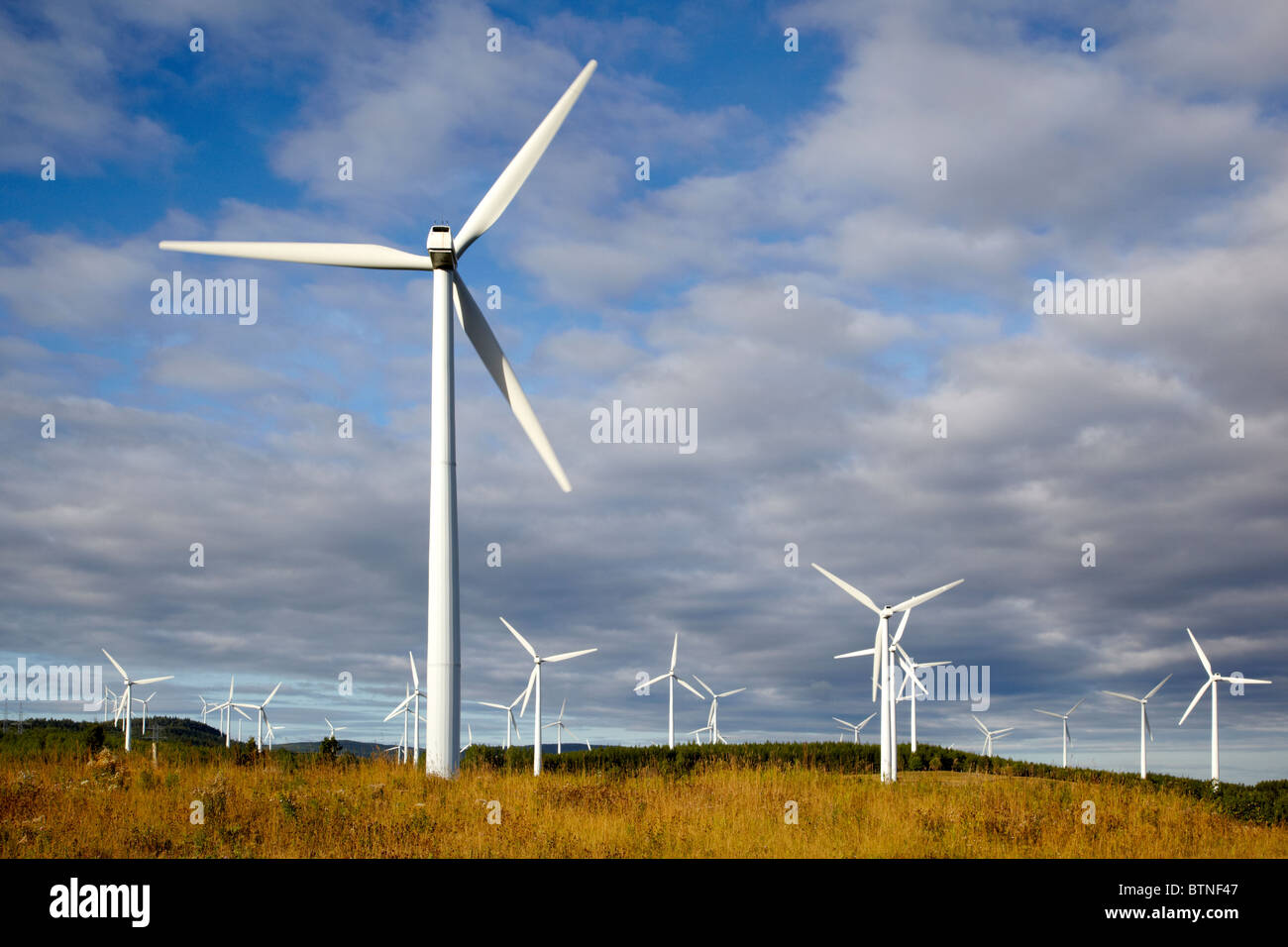 Eole, Cap-Chat, Windkraftanlagen, Gaspesie, Quebec, Kanada Stockfoto