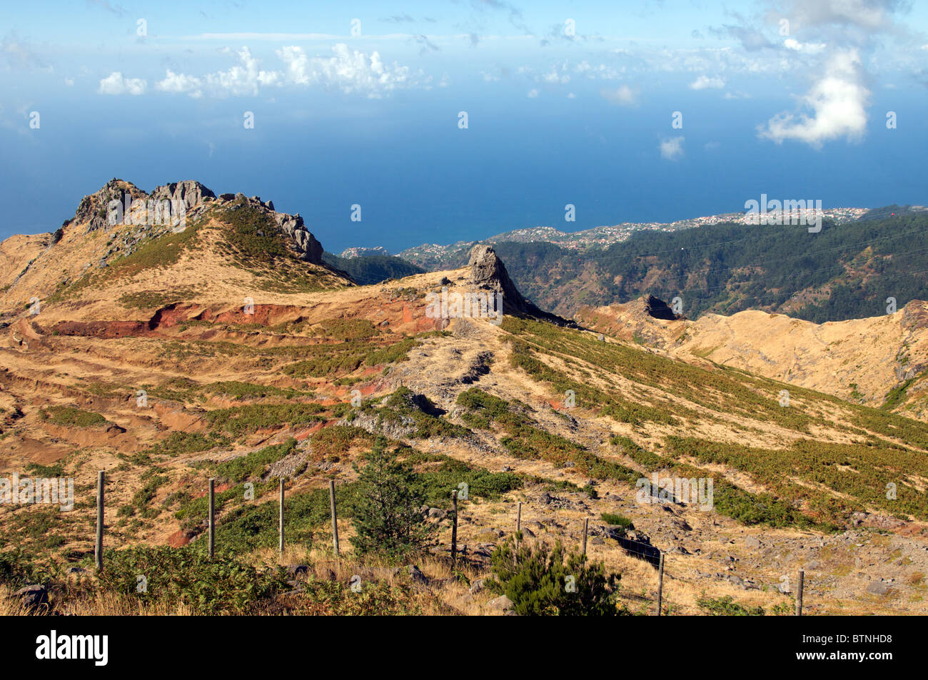 Westküste Madeira Portugal Stockfoto