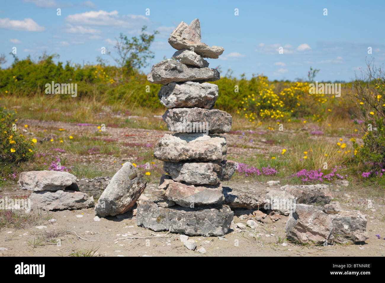 Cairn von Felsen in den vorsommerlich - ein Kalkstein kargen Ebene farmous für Blumen - auf dem schwedischen Insel Öland in der Ostsee. Stockfoto