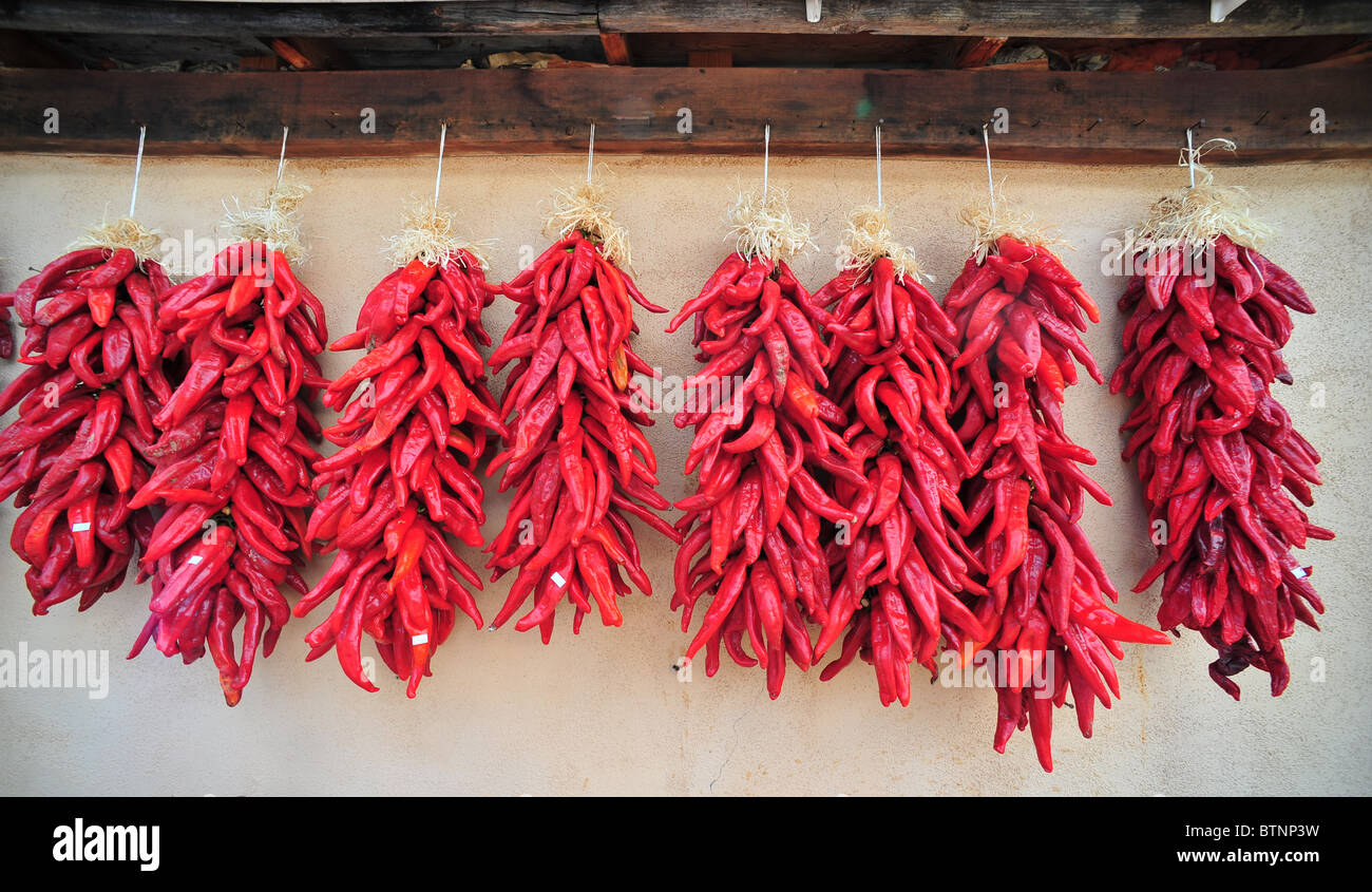 Rote Chille Paprika von New Mexico, USA Stockfoto