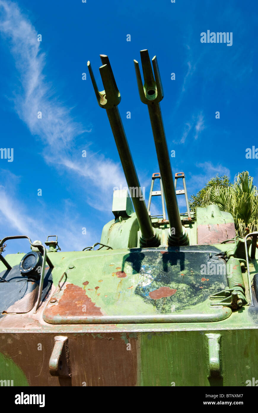 Zwei Pistole Maulkörbe auf dem Tank bis zum Himmel. Stockfoto