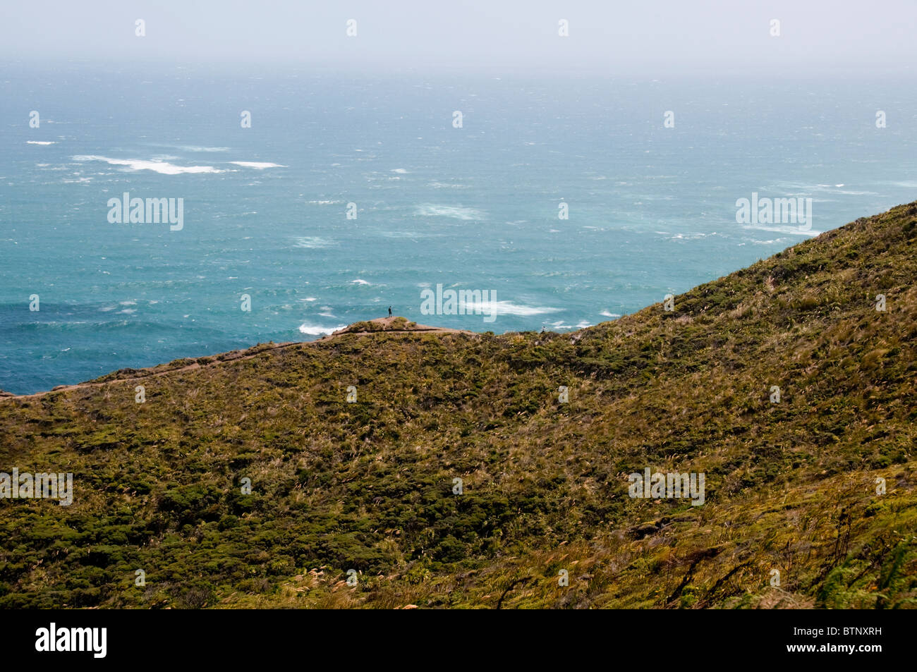 Cape Reinga, Leuchtturm, Cape Maria Van Dieman, Spirits Bay, Te Werahi Beach Motuopao Island, North Island, Neuseeland Stockfoto