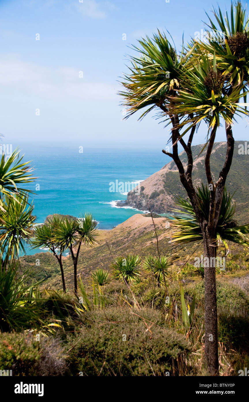 Cape Reinga, Leuchtturm, Cape Maria Van Dieman, Spirits Bay, Te Werahi Beach Motuopao Island, North Island, Neuseeland Stockfoto