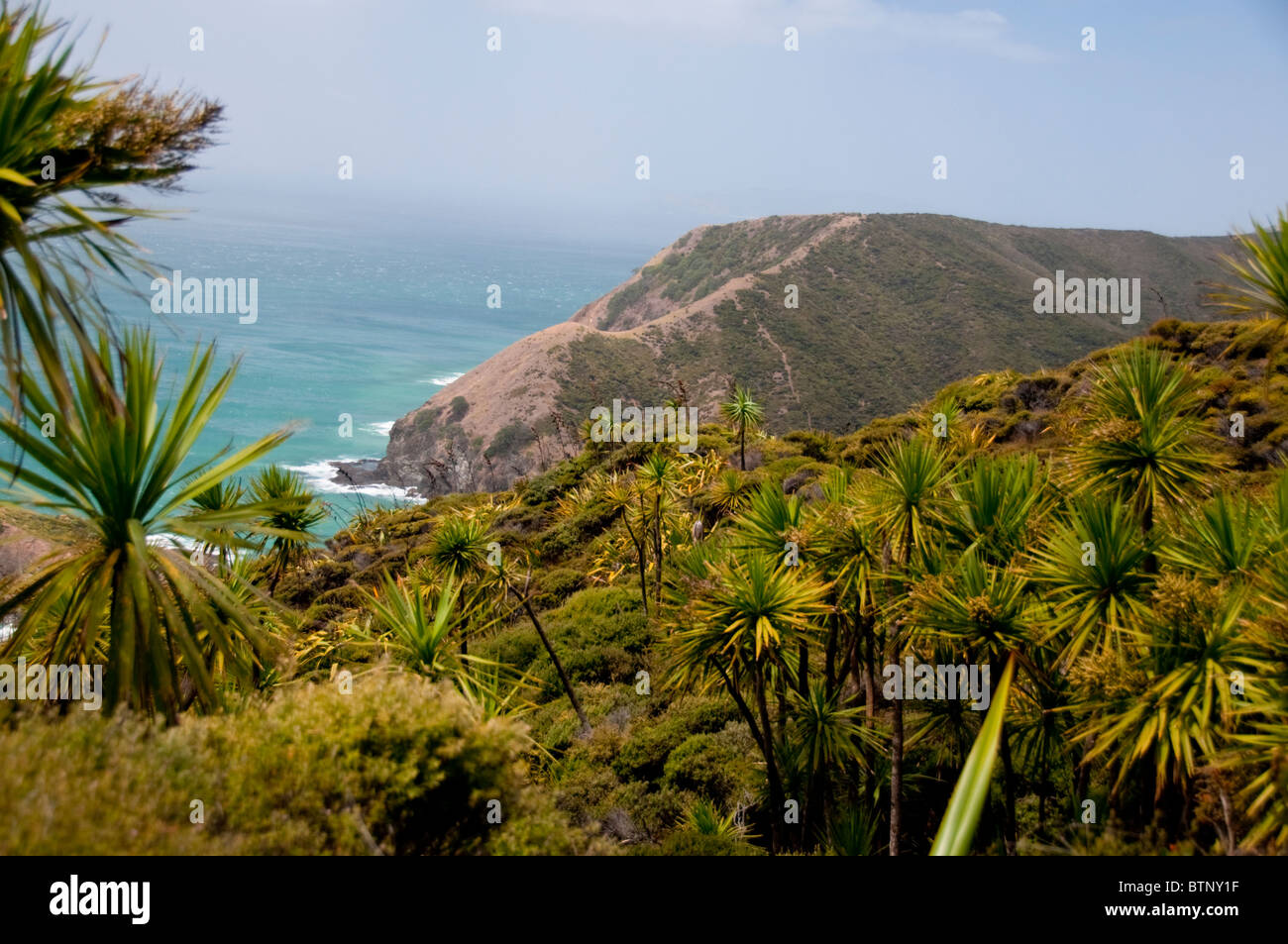 Cape Reinga, Leuchtturm, Cape Maria Van Dieman, Spirits Bay, Te Werahi Beach Motuopao Island, North Island, Neuseeland Stockfoto