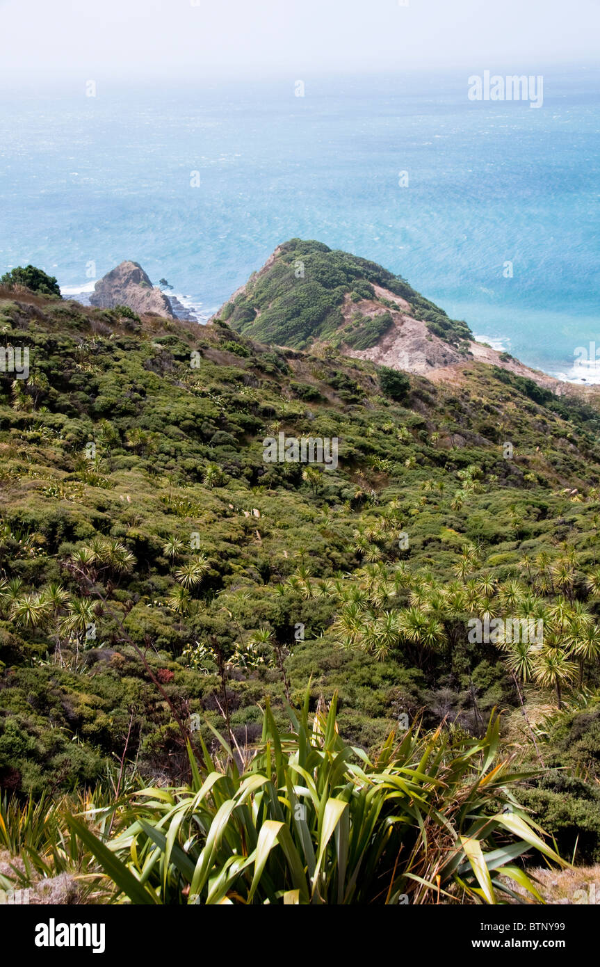 Cape Reinga, Leuchtturm, Cape Maria Van Dieman, Spirits Bay, Te Werahi Beach Motuopao Island, North Island, Neuseeland Stockfoto