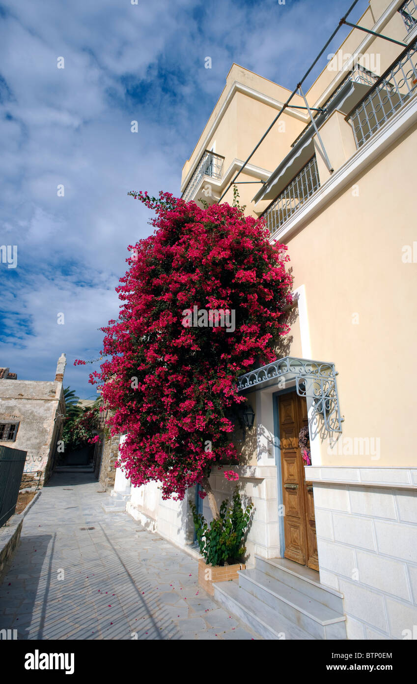 Schöne rote Bougainvillea gegen die Fassade eines Hauses in Ermoupolis, auf den griechischen Kykladen Insel Syros. Stockfoto