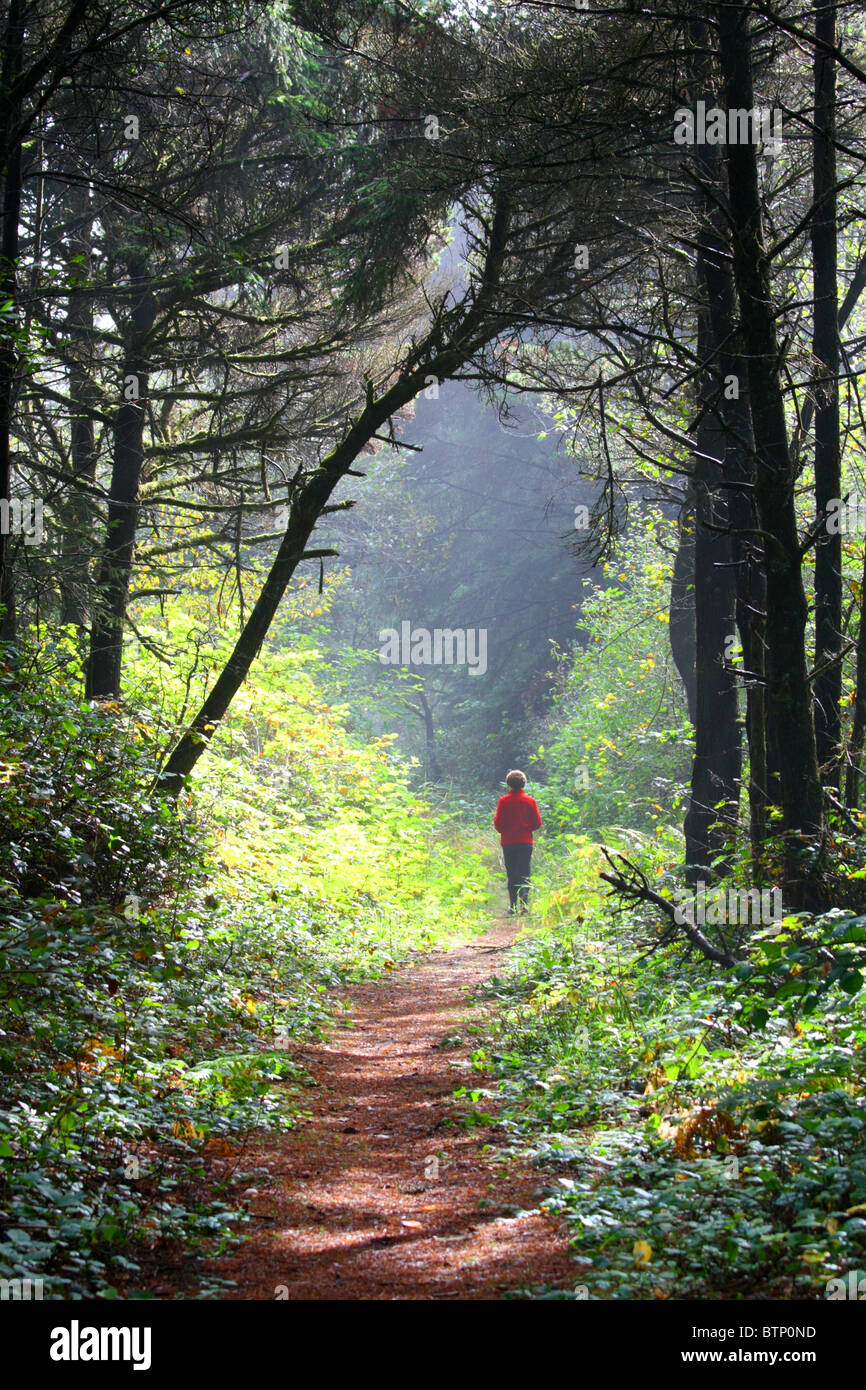 Frau in einem roten Mantel zu Fuß auf einem nass / trocken Waldweg mit starken Hintergrundbeleuchtung. Stockfoto