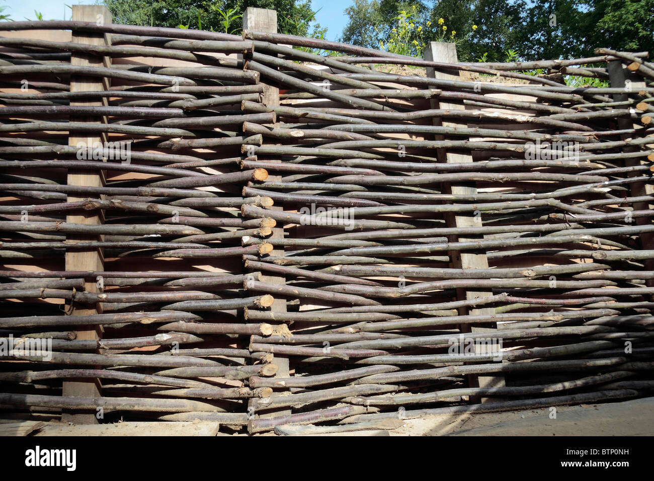 Nahaufnahme des Flechtwerk auf einen neu konstruierten German World War One Graben in einem Gebiet namens Bayernwald, Belgien, Stockfoto