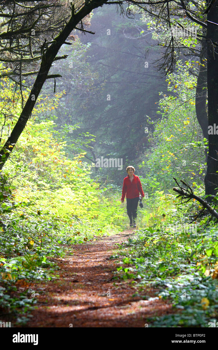 40,461.07589 Frau in rot zu Fuß in Richtung Kamera auf sonnigen hinterleuchtet tunnelartiger Waldweg Stockfoto
